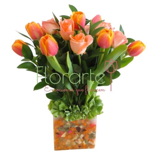 Florencia Diadora Florencia Diadora