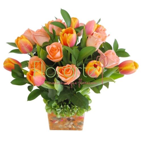 Florencia Diadora Florencia Diadora