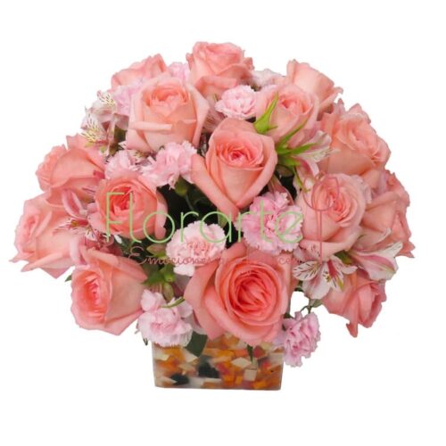 Florencia Dolche Rosa