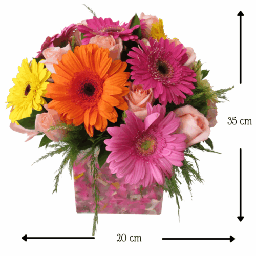 Florencia Festival Florencia Festival