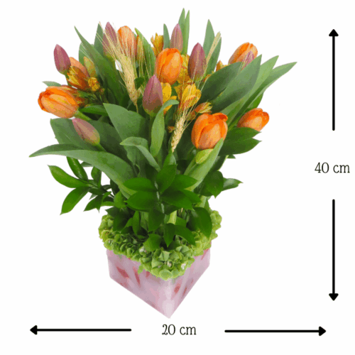 Florencia Trigo Holandes Florencia Trigo Holandes