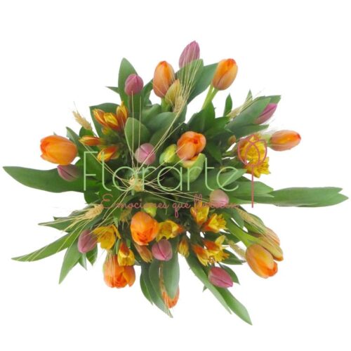 Florencia Trigo Holandes Florencia Trigo Holandes