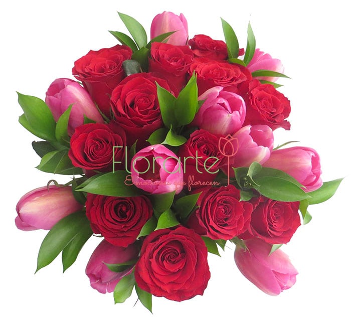 Holanda en Satín Holanda en Satín