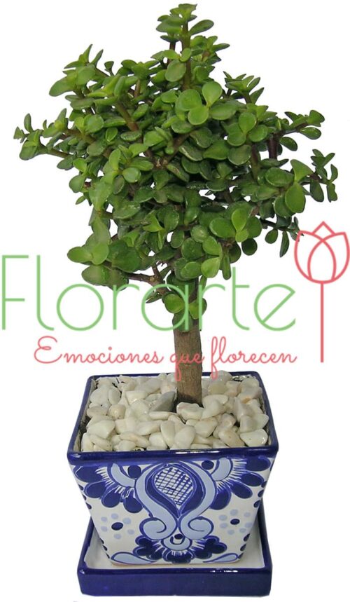 Árbol de la Abundancia