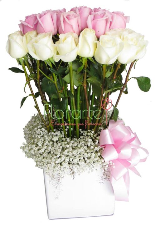 Gala Cariño Premium