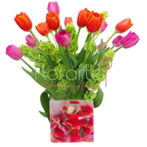 Florencia Alegría de Tulipanes