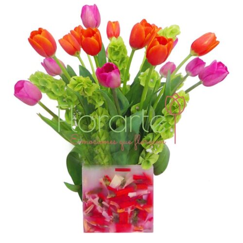 Florencia Alegría de Tulipanes