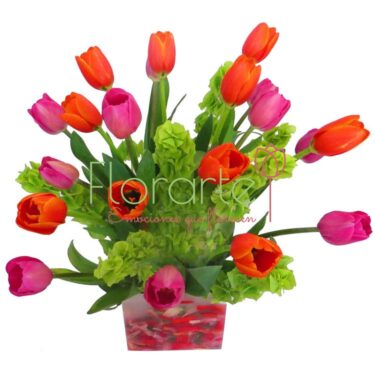 Florencia Alegría de Tulipanes