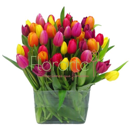 Rebosante de Colores