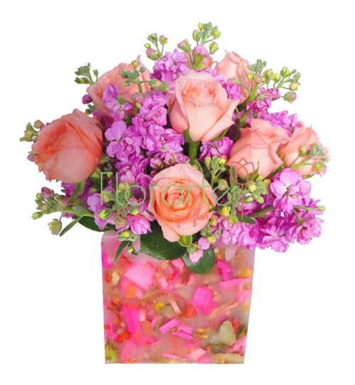 Florencia Cielo Rosa