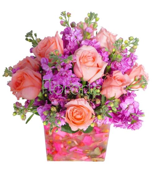 Florencia Cielo Rosa