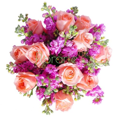 Florencia Cielo Rosa