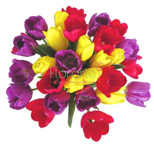 Florencia Confetti de Tulipanes