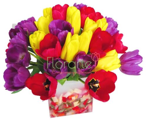 Florencia Confetti de Tulipanes