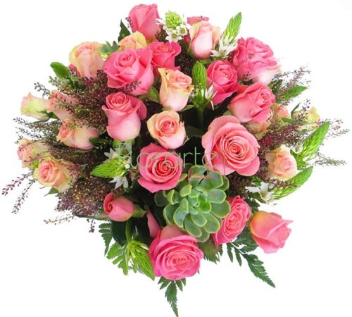 Antigüo París Felicidad