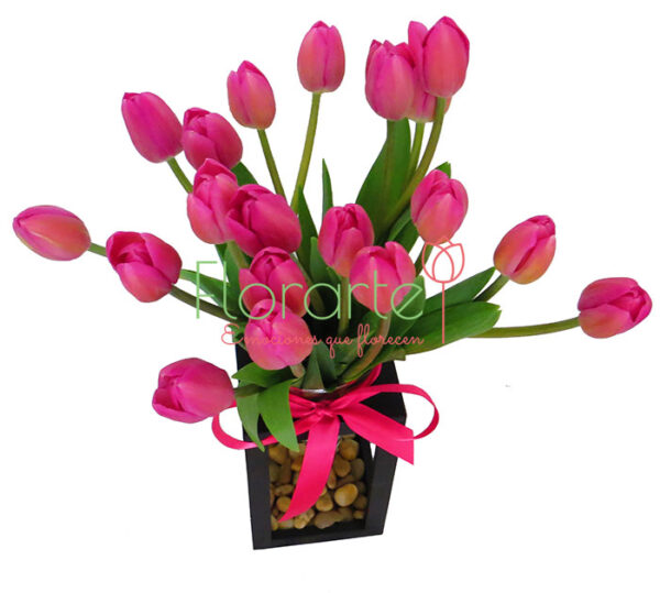 Babel Labios Rosas 20 Tulipanes