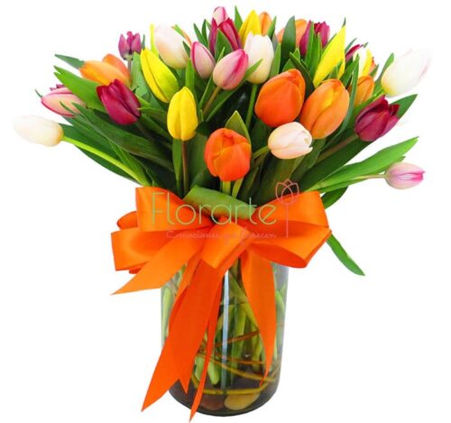 Resplandor de Tulipanes