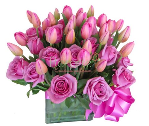Rebosante de Rosas y Tulipanes Lilas