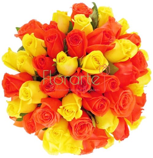 París Felicidad París Felicidad