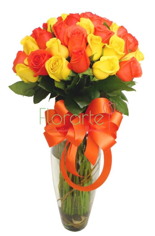 París Felicidad París Felicidad