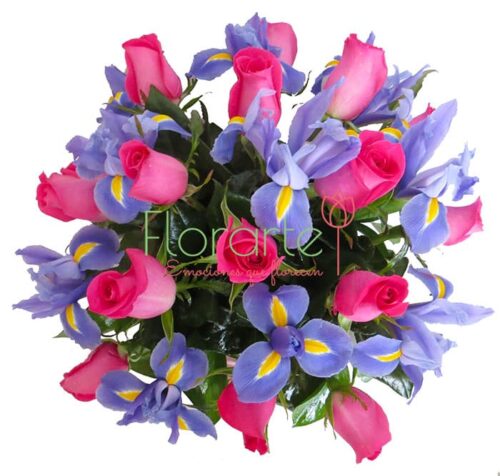 Florencia Magía Azúl