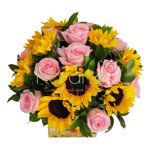 Florencia Tierna Mirada