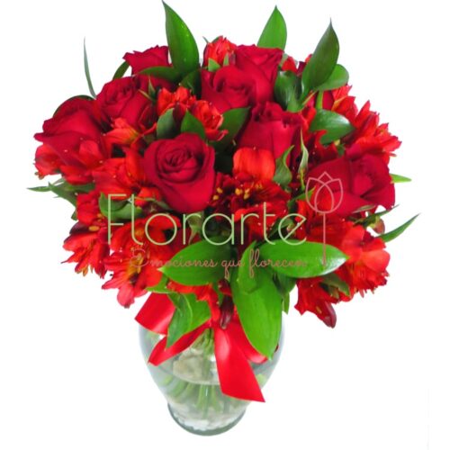Línea Bouquet Astrorosas