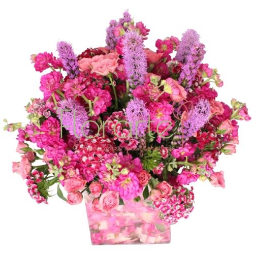 Florencia Clarabella