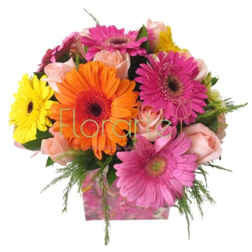 Florencia Festival Florencia Festival