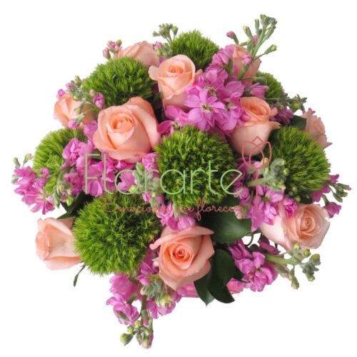 Florencia Bambina Florencia Bambina