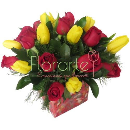 Florencia Brillo de Amor I