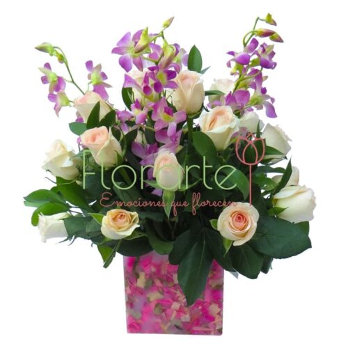 Florencia Cenicienta