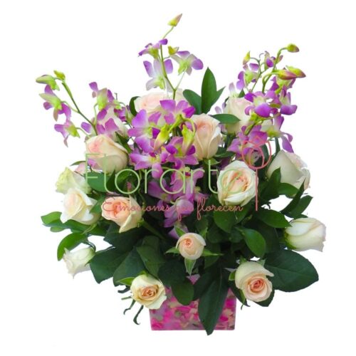 Florencia Cenicienta