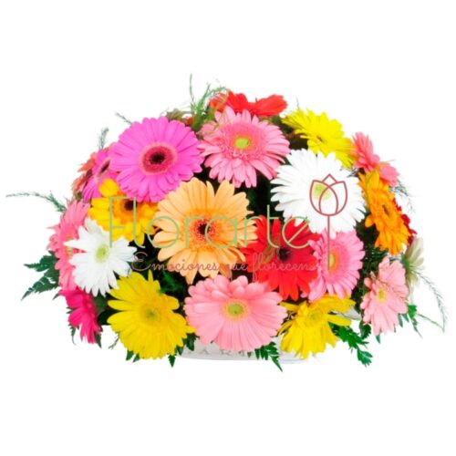 Voces de Primavera F&G