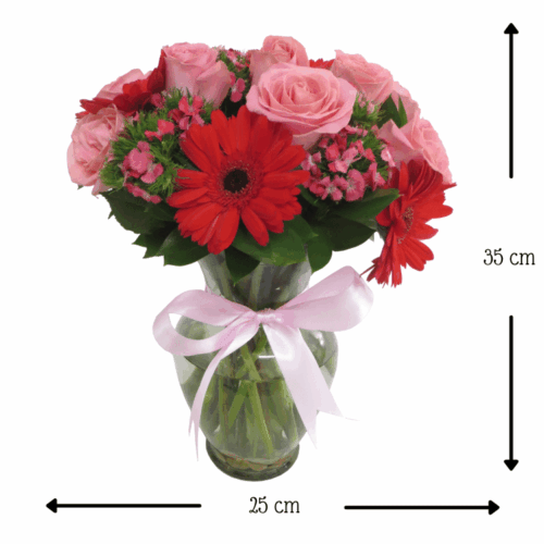 Hermosa Sonrisa Hermosa Sonrisa