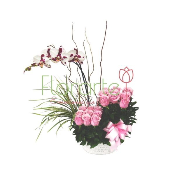 Cisne con Rosas