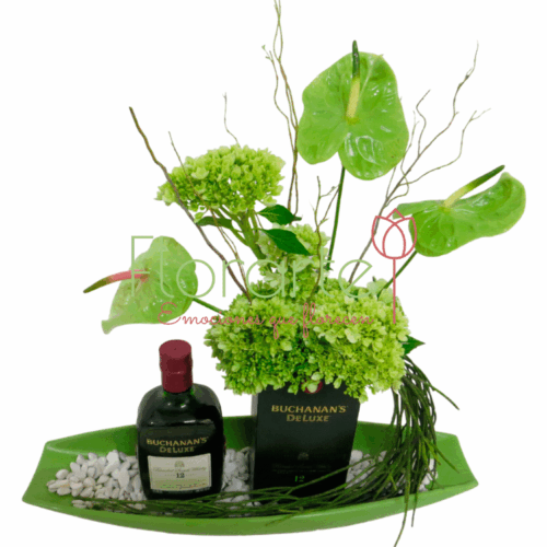 Buchanans y Anturios