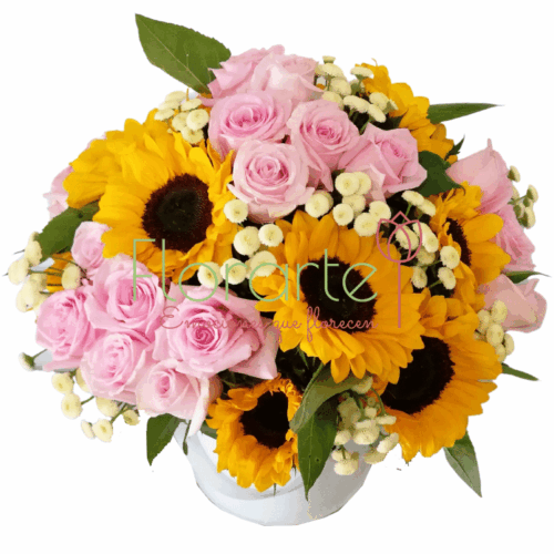 Majo Vintage Majo Vintage