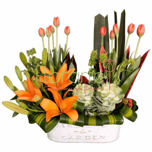 Suspirar de Alegría