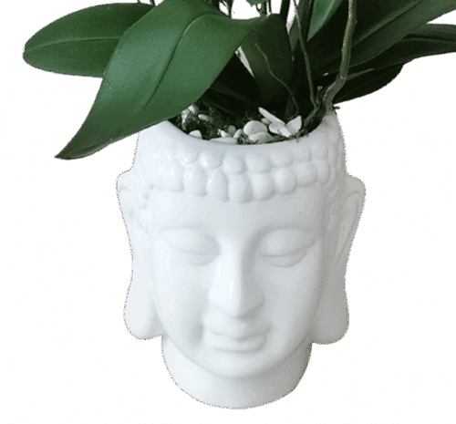 Buda Iluminado