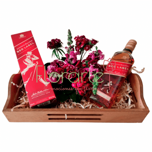 Crea Camino al Andar