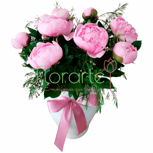 Peonias Angelina Peonias Angelina