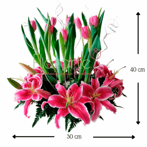 Princesa de Tulipanes