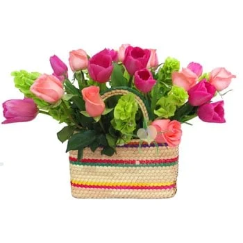 Bolsa Frida