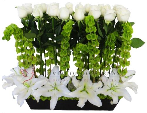 Jardín de Paz Casablancas