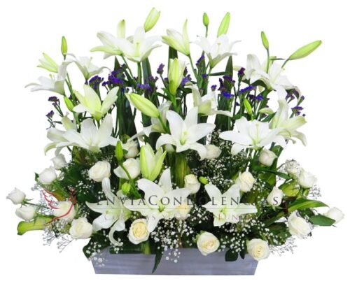 Jardín para el Alma