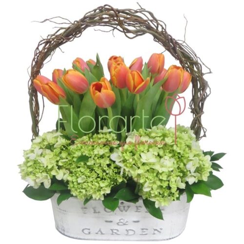 Jardín de Tulipanes Kilmer