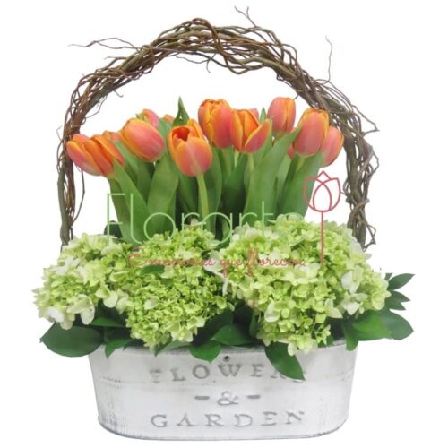 Jardín de Tulipanes Kilmer