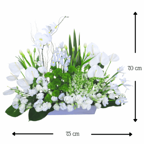 Jardín de Honor Jardín de Honor