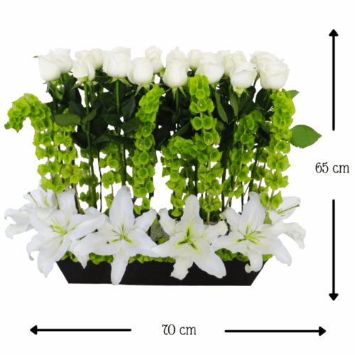 Jardín de Paz Casablancas Jardín de Paz Casablancas